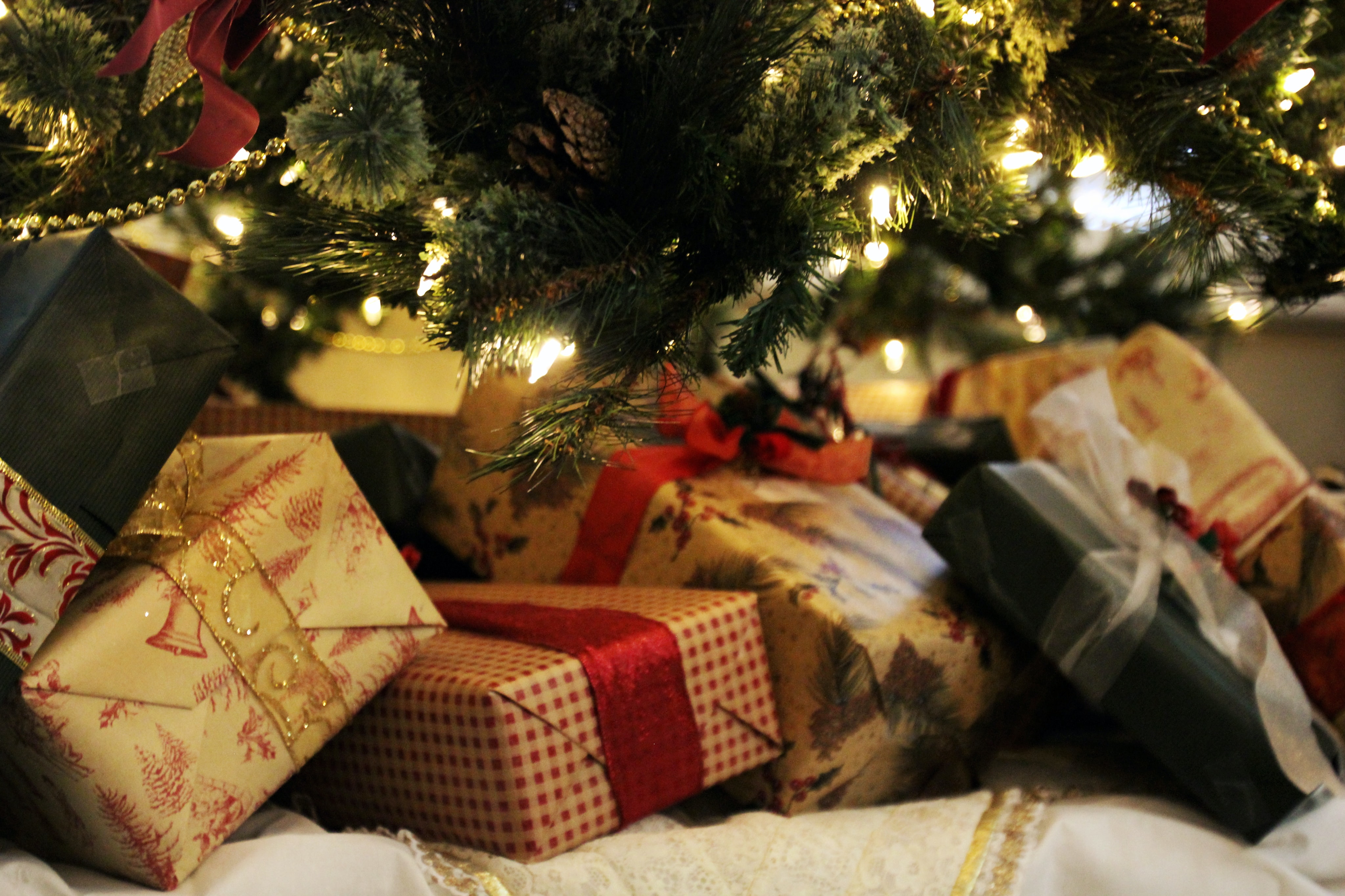 under_the_tree.jpg